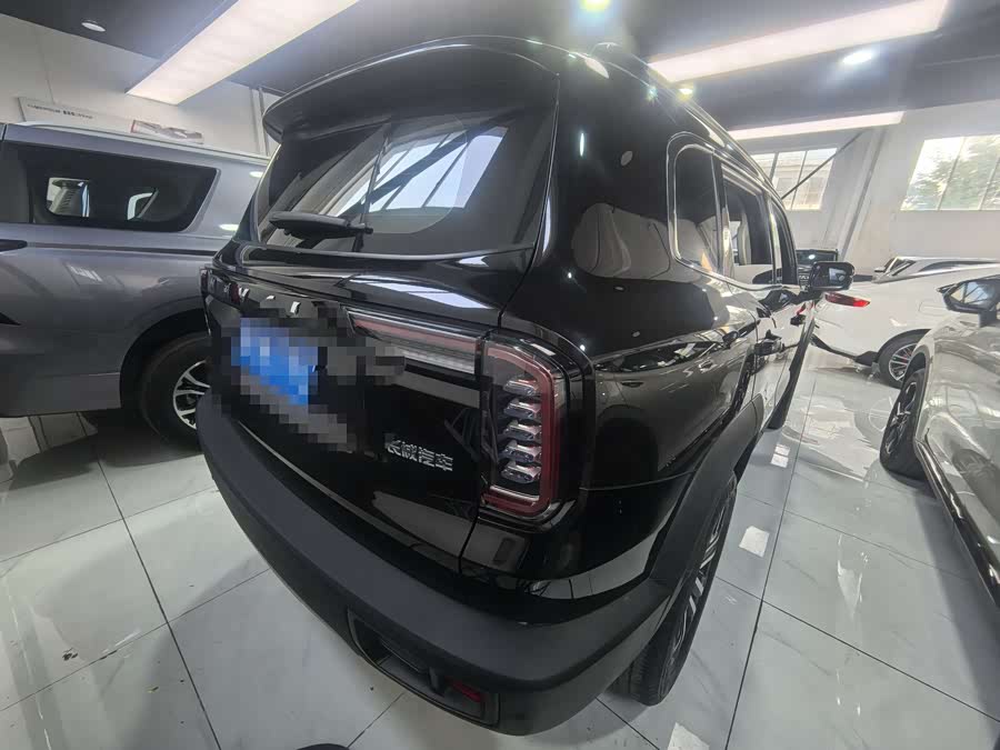 Haval X Dog / Dargo 2022 immagine di auto #19