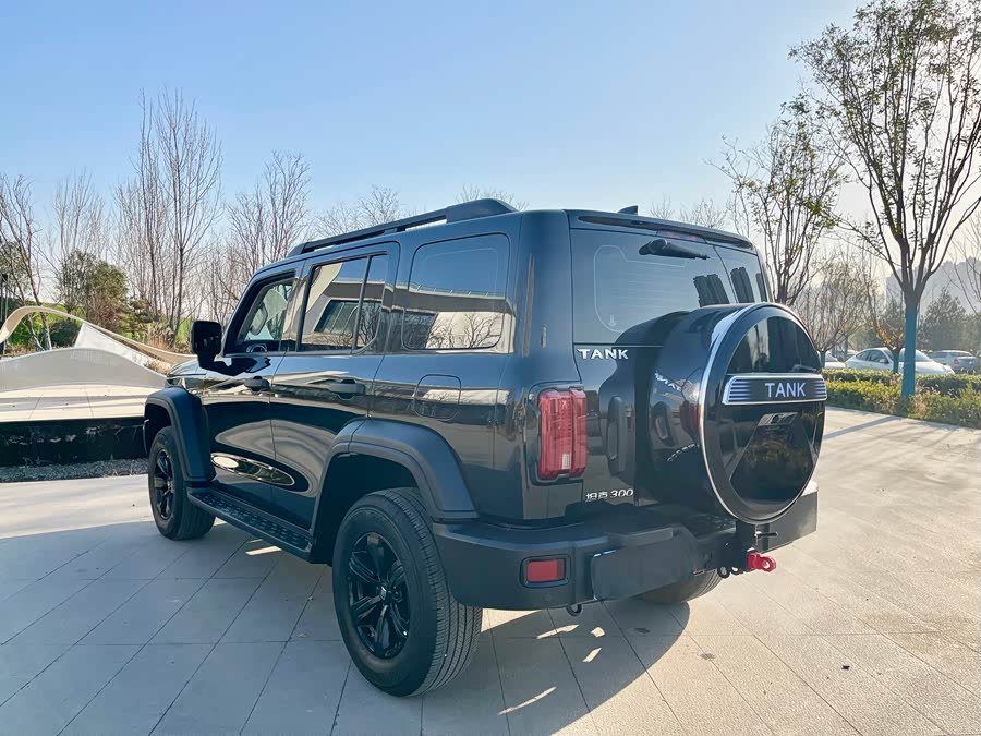 Tank 300 2023 car image #19