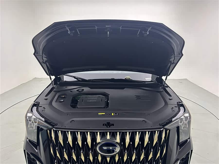 GAC Trumpchi ES9 2024 car image #19