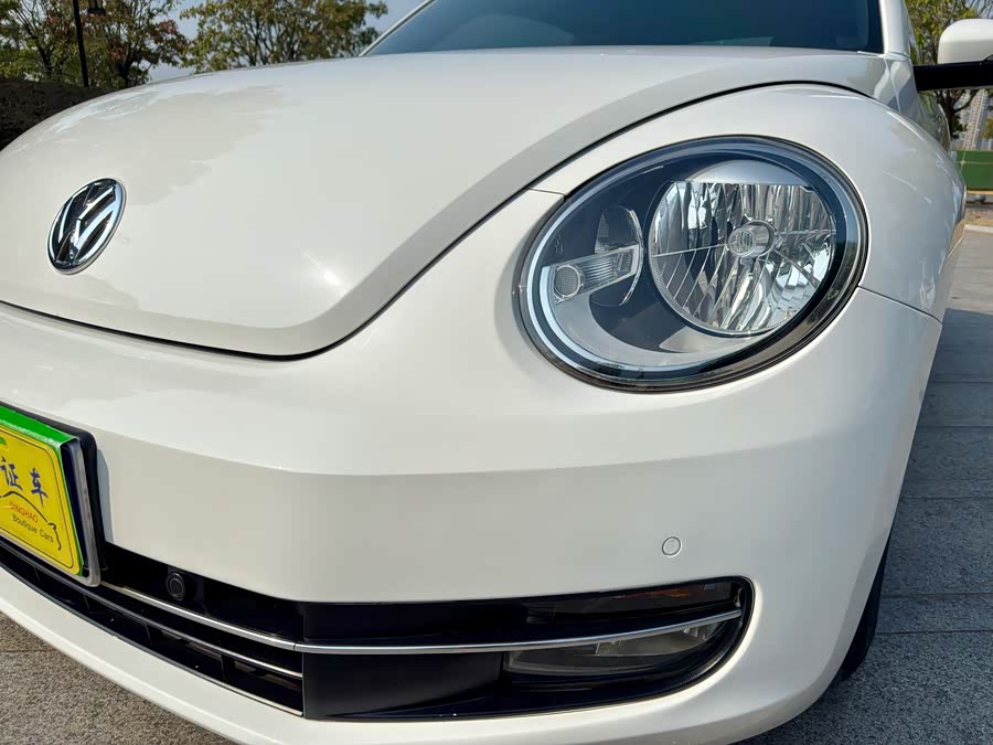 Volkswagen Beetle 2013 immagine di auto #19