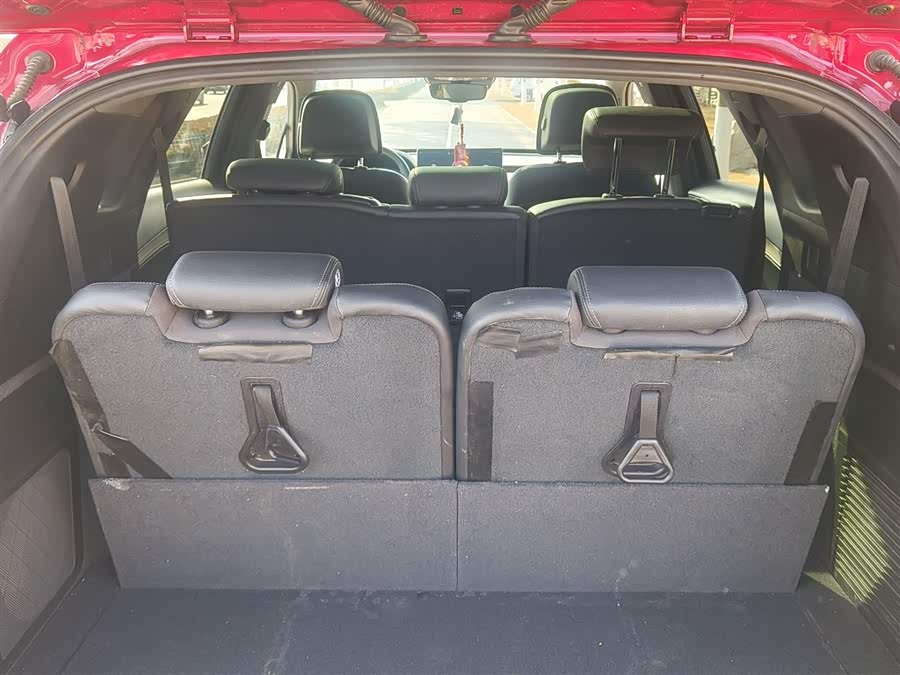 Denza X 2020 car image #19