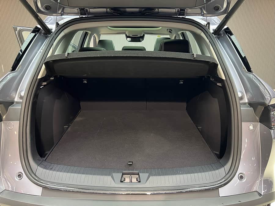 BYD Sea Lion 05 DM-i 2025 car image #19