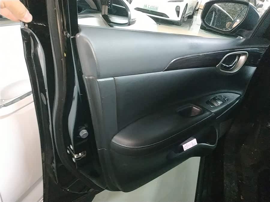 日产 轩逸·纯电 2020 汽车图片 #19