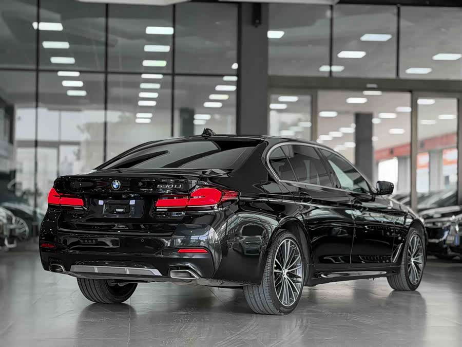 BMW 5 Series 2022 car image #19