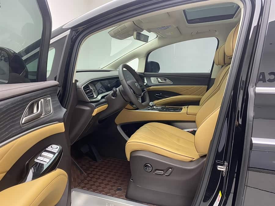 Denza D9 2024 car image #19