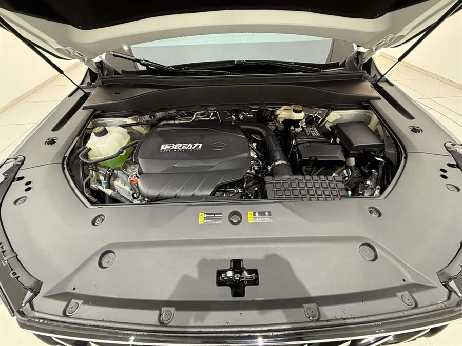 GAC Trumpchi GS8 2025 #19 GAC Trumpchi GS8 2025 car image #19