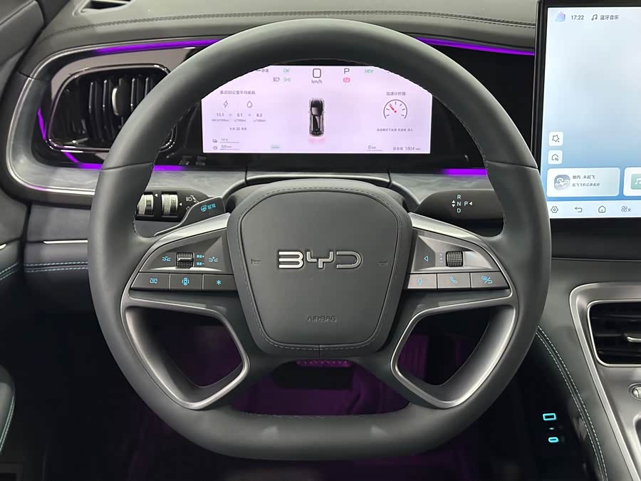 BYD Sea Lion 07 DM-i 2025 car image #19