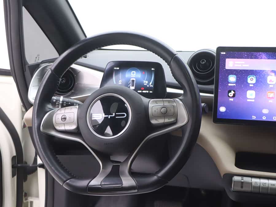 BYD Dolphin 2023 immagine di auto #19