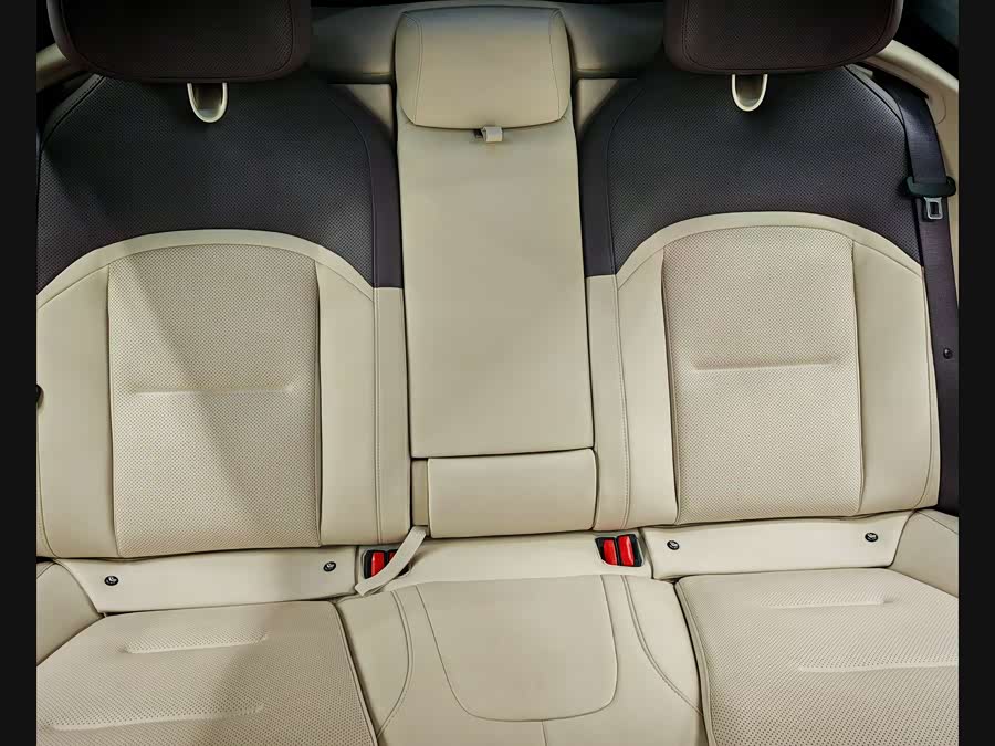 Avatr 12 2024 car image #19