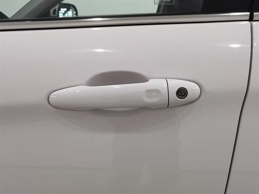 Haval H6 Coupe 2017 car image #19