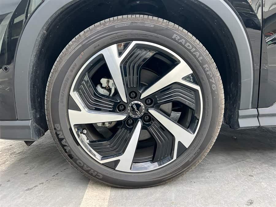 BYD Sea Lion 05 DM-i 2025 car image #19