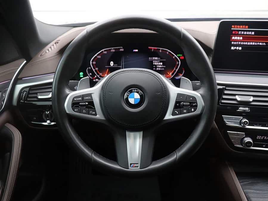 BMW 5 Series 2021 car image #19
