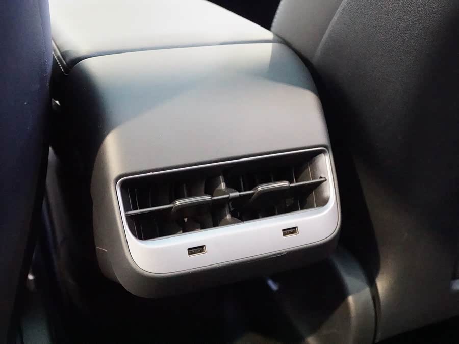 Tesla Model 3 2020 car image #19