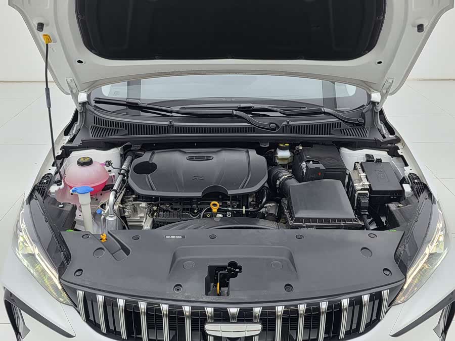 GEELY Binray 2024 car image #19