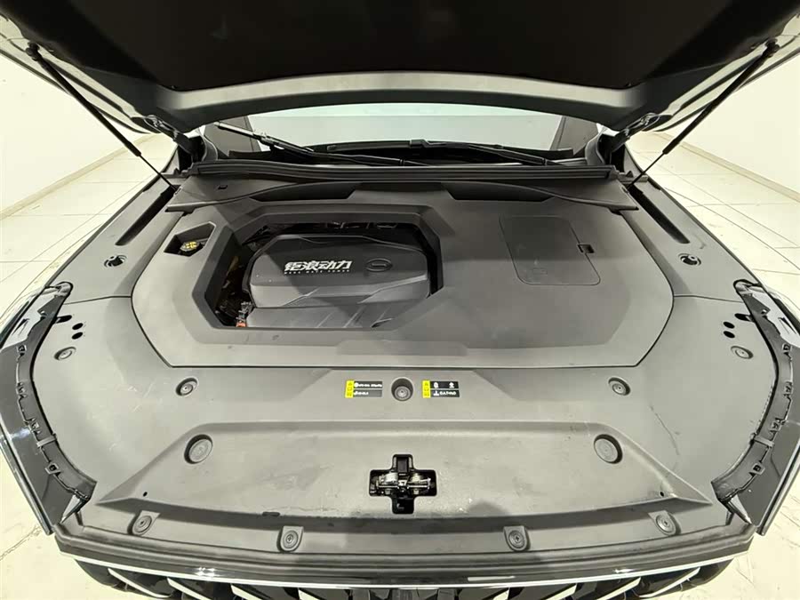 GAC Trumpchi GS8 2022 #19 GAC Trumpchi GS8 2022 car image #19