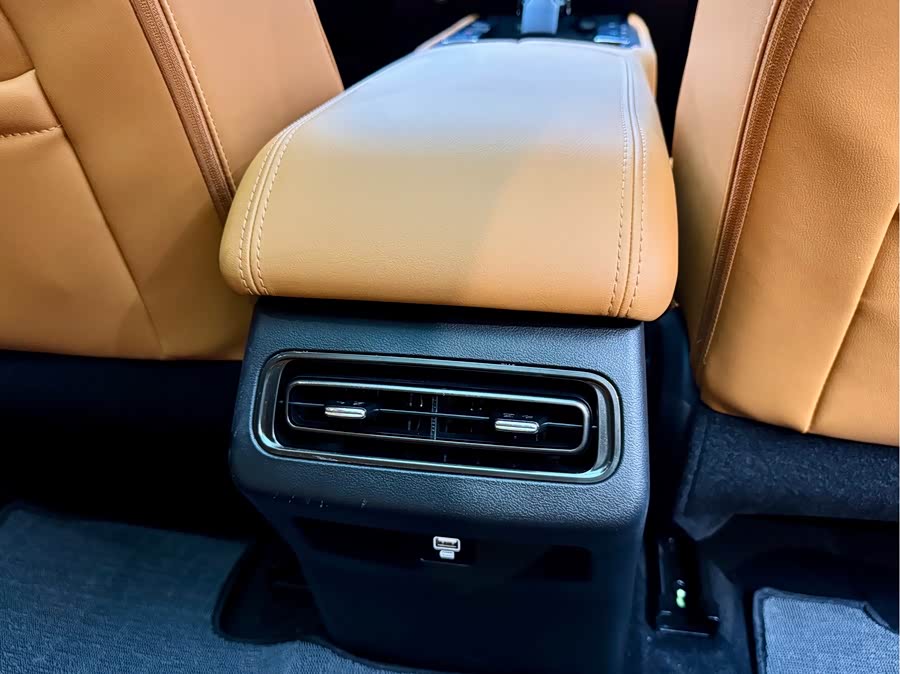 Haval Raptor New Energy 2023 car image #19