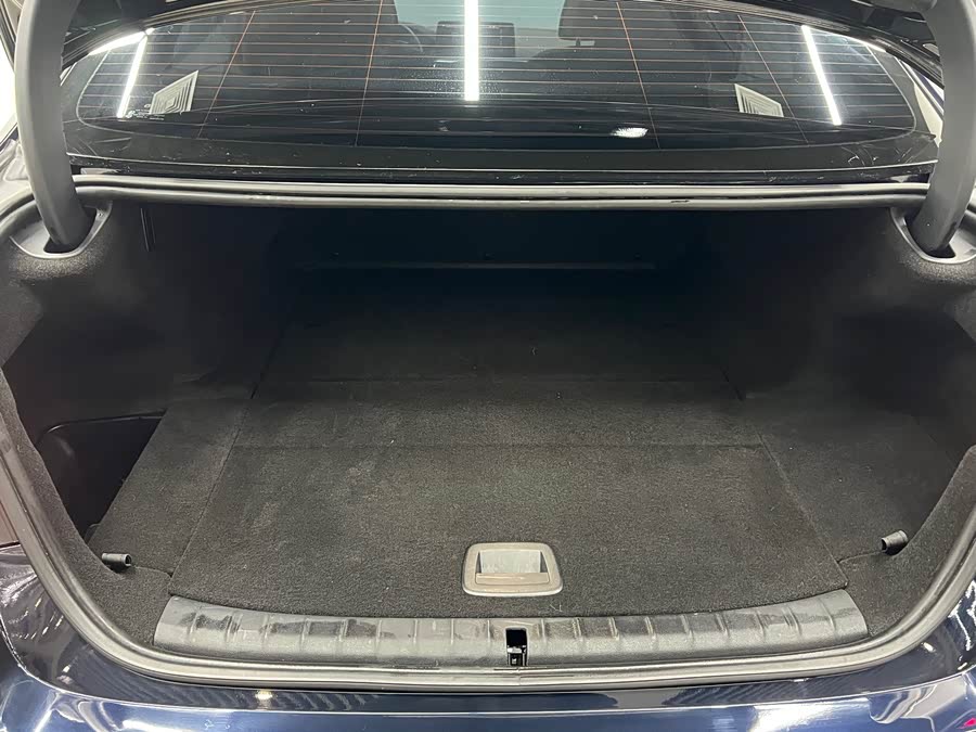 BMW 5 Series New Energy 2021 car image #19