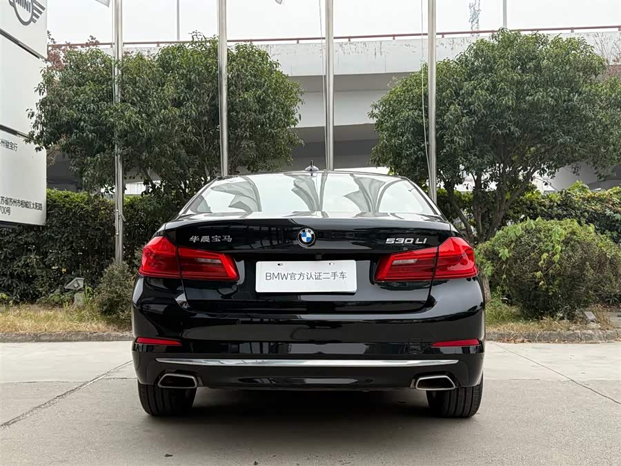 BMW 5 Series 2020 car image #19