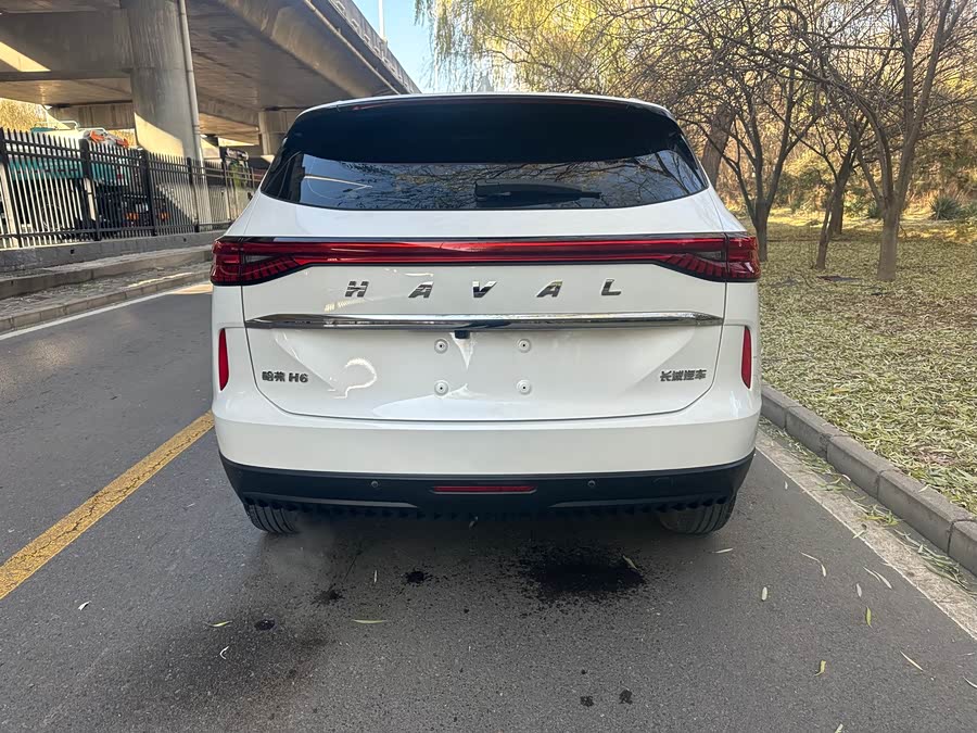 Haval 2022 car image #19