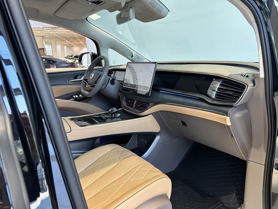 Denza D9 2023 car image #19