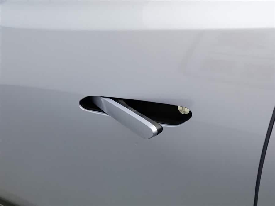 Neta L 2024 imagen de coche #19