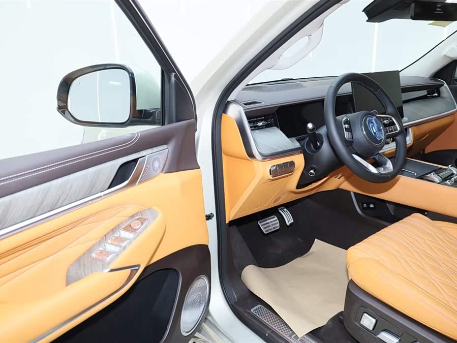 Tank 500 New Energy 2025 immagine di auto #19