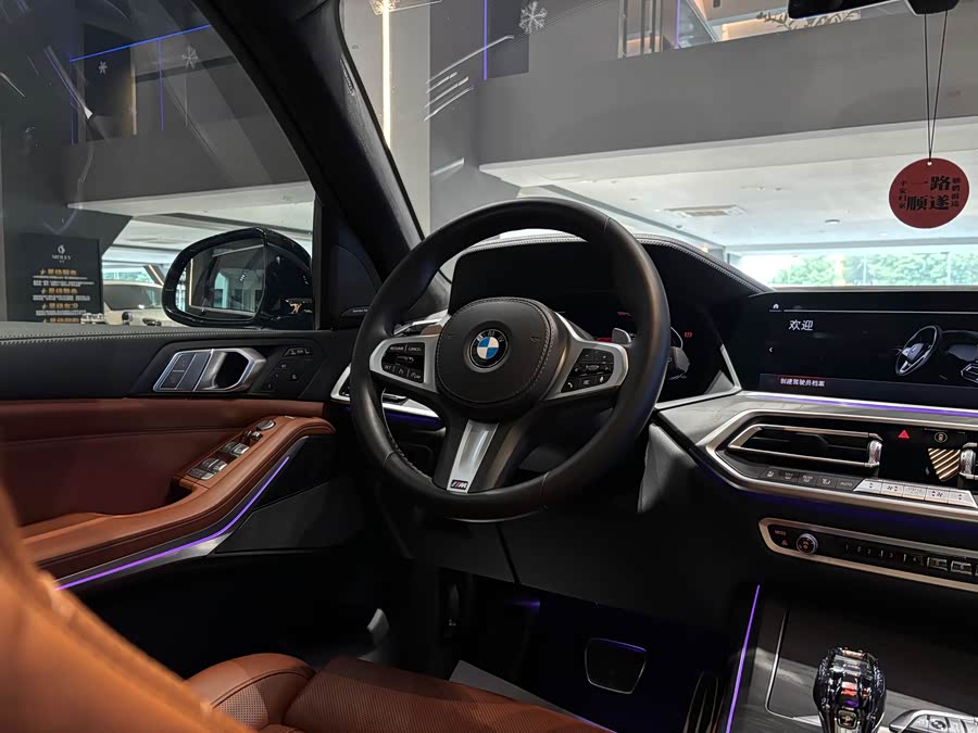 BMW X7 2020 immagine di auto #19