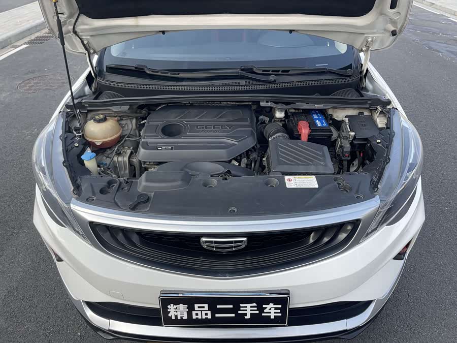 GEELY 2020 car image #19