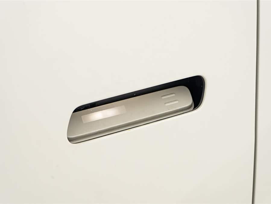 极氪 极氪X 2024 汽车图片 #19