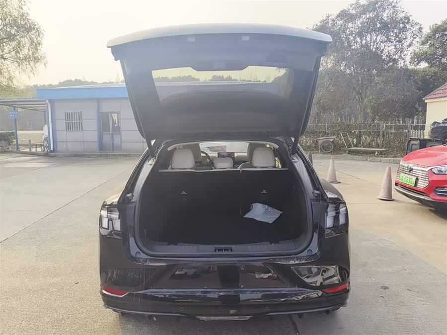 Ford Mustang Mach-E 2022 car image #19