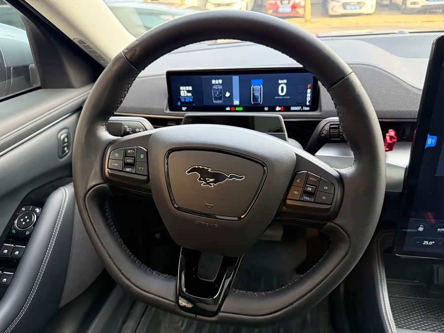 Ford Mustang Mach-E 2022 #19 Ford Mustang Mach-E 2022 car image #19