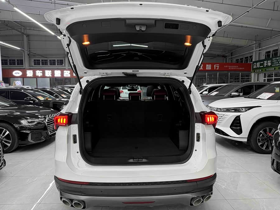Jetour X70 PLUS 2021 car image #19
