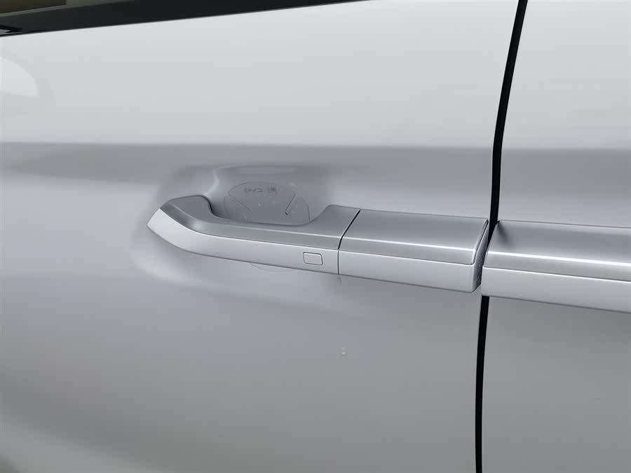 BYD Xia 2024 imagen de coche #19