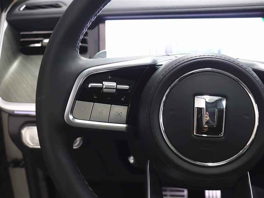 Tank 500 New Energy 2025 car image #19