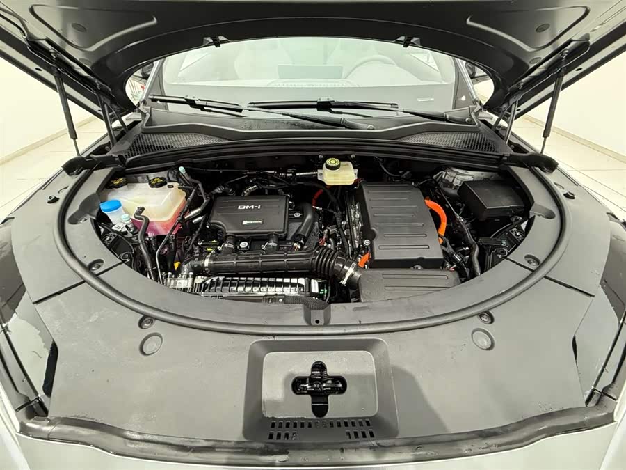 BYD Song Plus New Energy 2025 car image #19