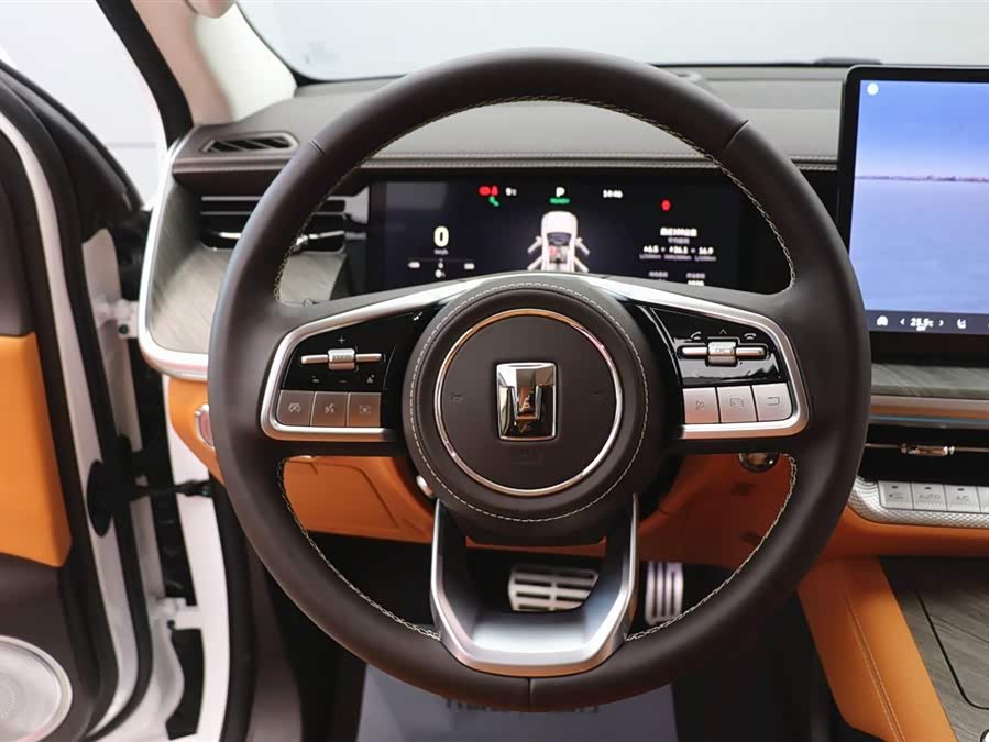 Tank 500 New Energy 2025 #19 Tank 500 New Energy 2025 car image #19