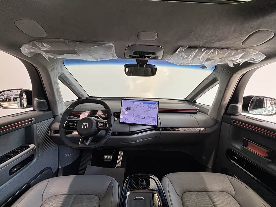 Zeekr MIX imagen de coche #19