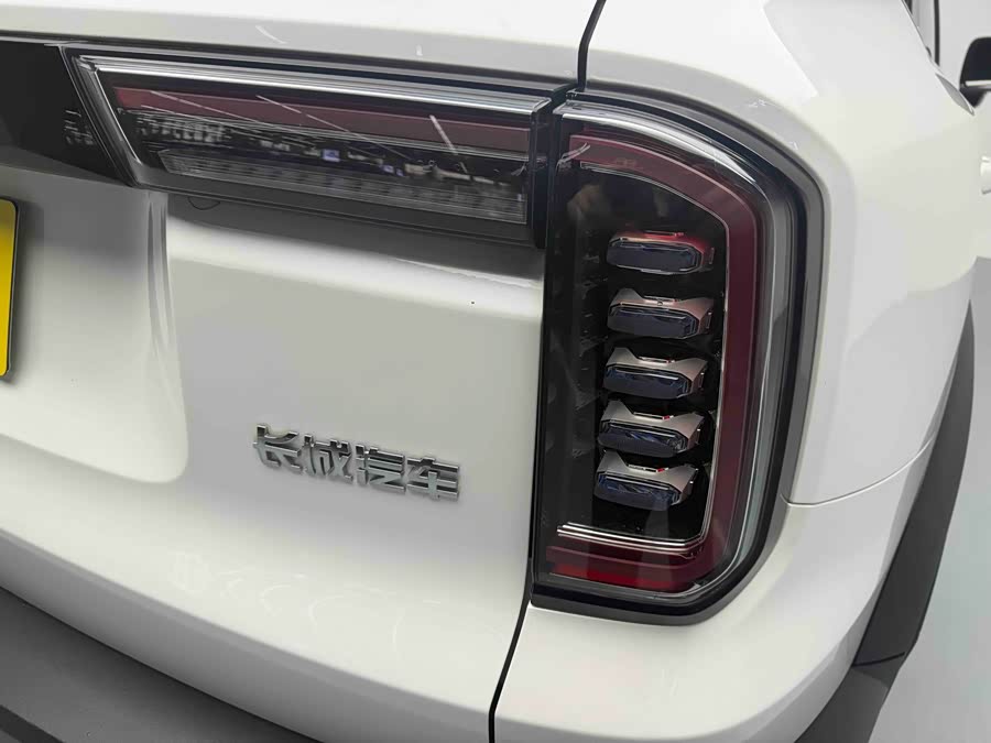 Haval X Dog / Dargo 2021 #19 Haval X Dog / Dargo 2021 car image #19