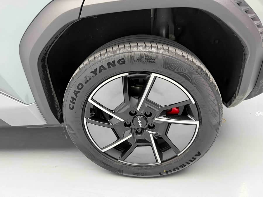 FangChengBao Tiger 3 2025 car image #19