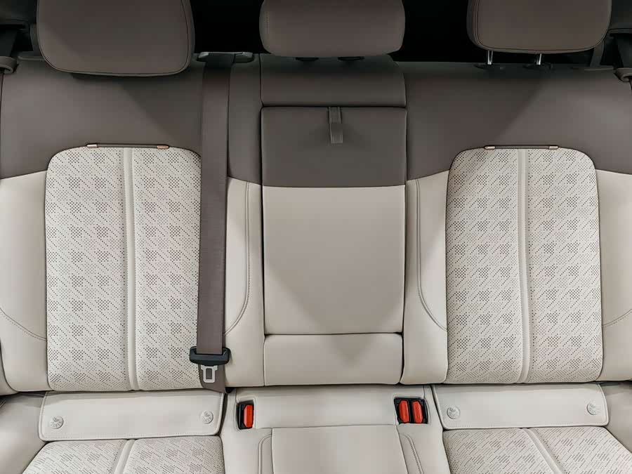 Zeekr 7X 2024 car image #19