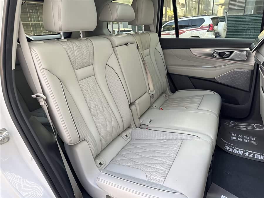 GAC Trumpchi GS8 2021 #19 GAC Trumpchi GS8 2021 car image #19