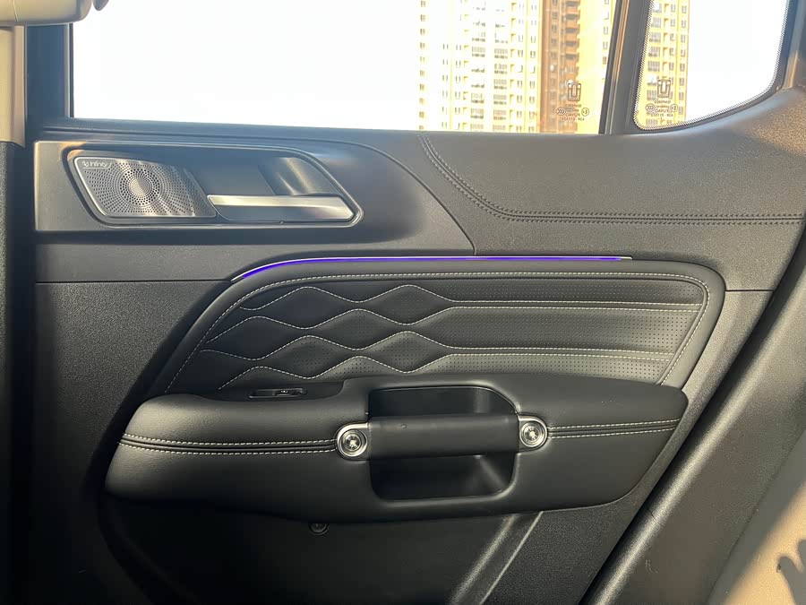 Tank 300 2021 car image #19