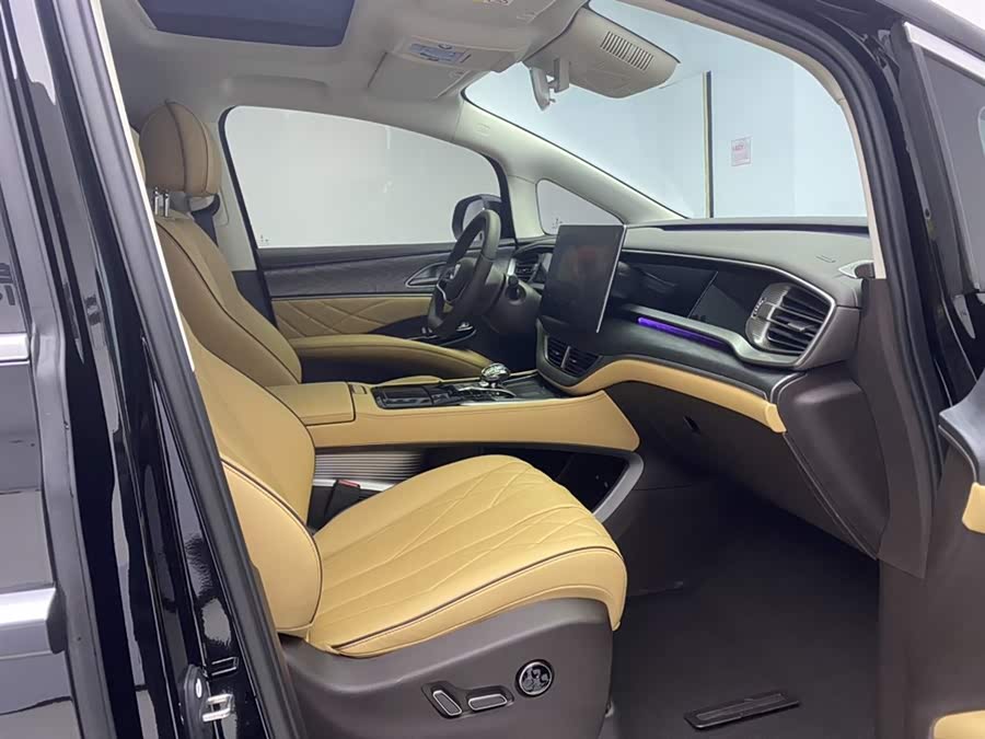 Denza D9 2025 car image #19
