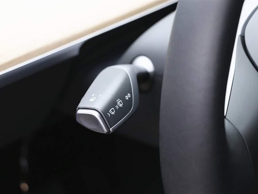 Tesla Model Y 2021 car image #19