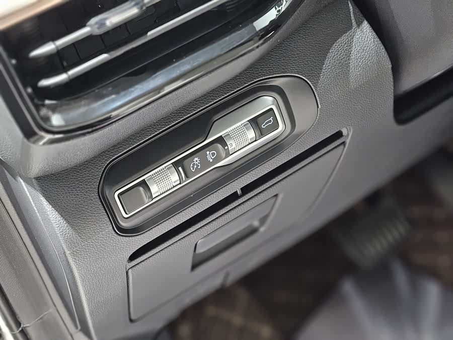 睿蓝汽车 睿蓝9 2024 汽车图片 #19