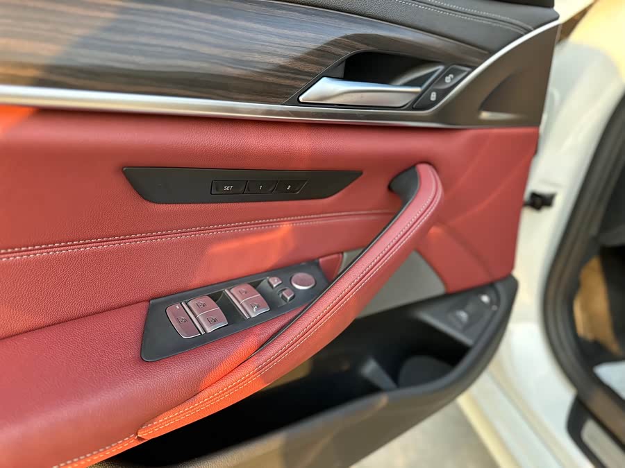 BMW 5 Series New Energy 2020 car image #19