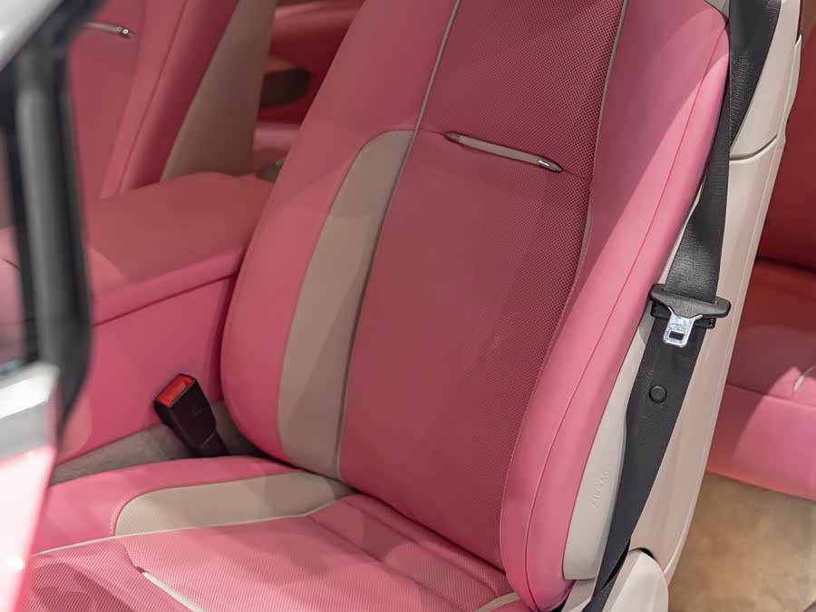 Denza Wraith 2022 #19 Denza Wraith 2022 immagine di auto #19