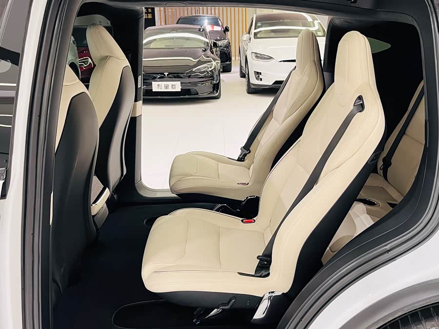 Tesla Model X 2023 car image #19