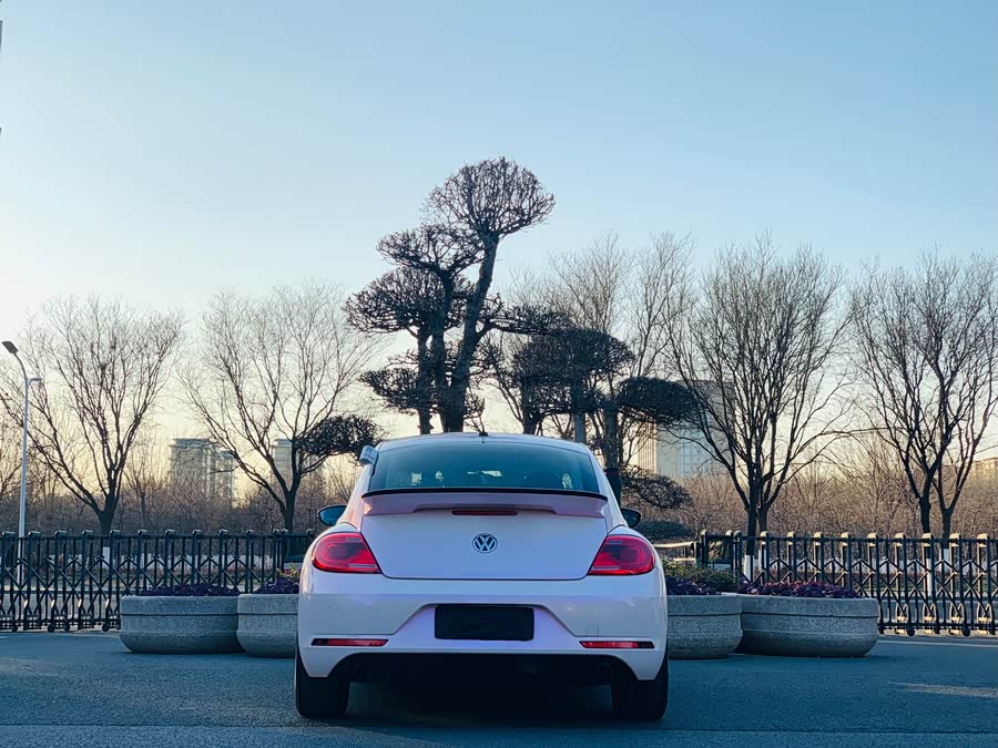 Volkswagen Beetle 2016 изображение автомобиля #19