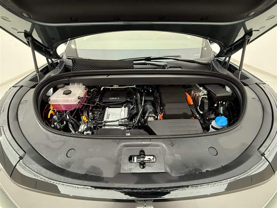 BYD Tang L 2025 car image #19